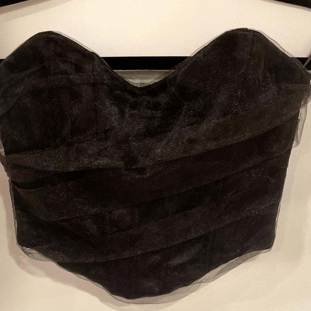 NWT ZARA CORSETRY TULLE CROP TOP